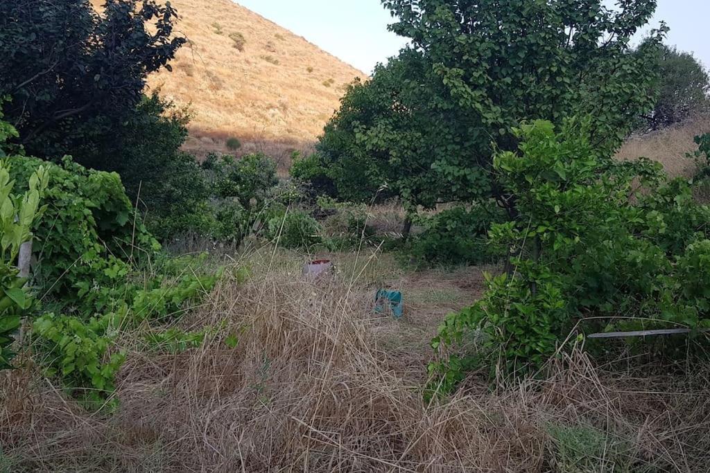 Вілла Κυθνος Δρυοπίδα, Στούντιο Χατζής Dhriopis Екстер'єр фото